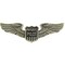 2 Private Pilot Wings Pins, 1 Gray 2 7/8" Wide and 1 Gold Plated, 1 1/2" Wide